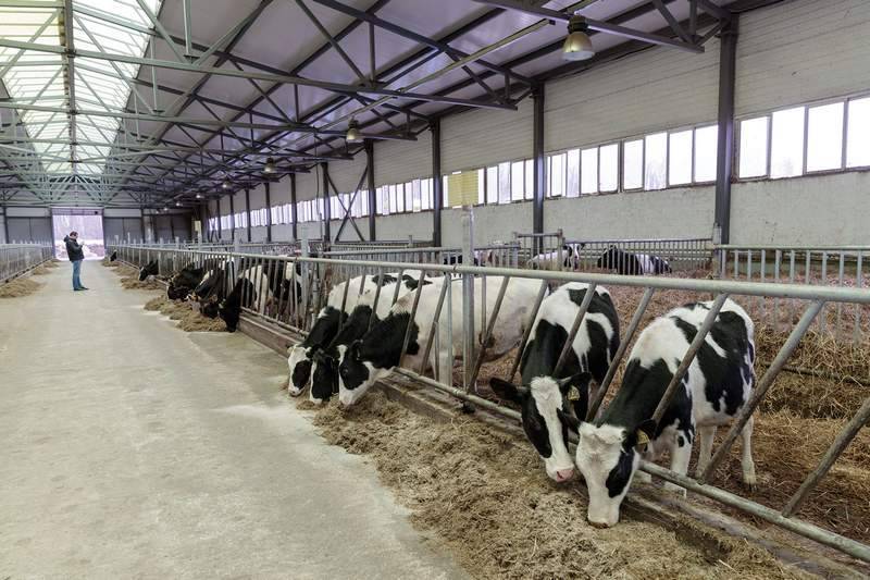 В Амурской области открыта новая молочная ферма